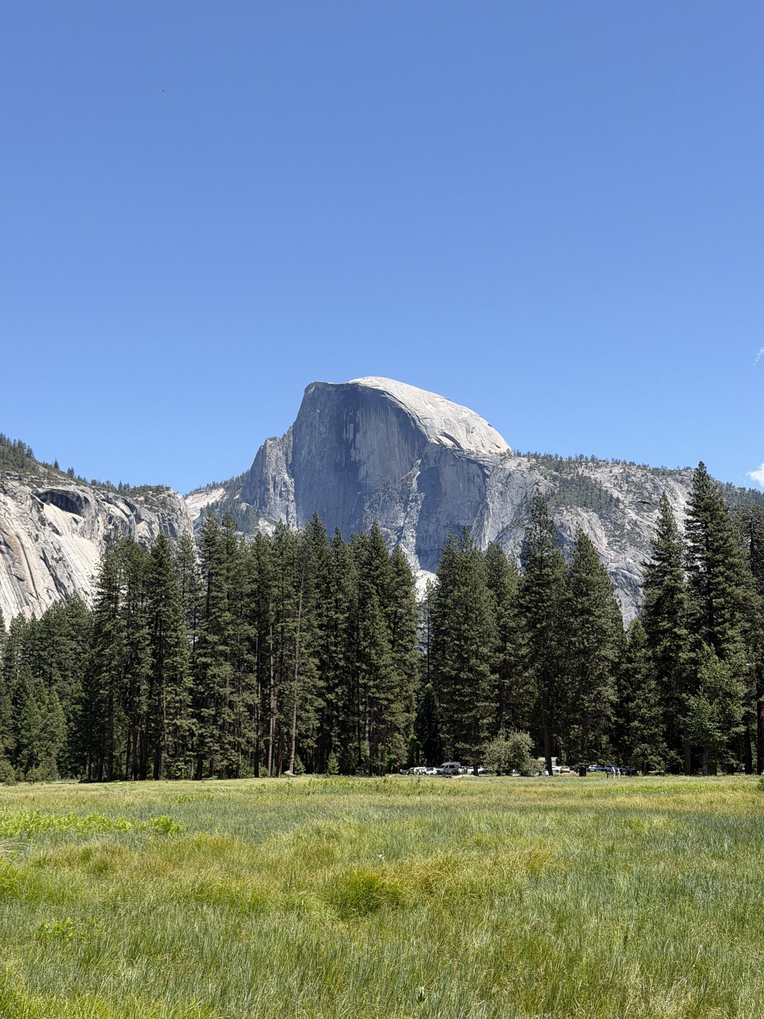 Half Dome seen across a meadow in Yosemite Valley