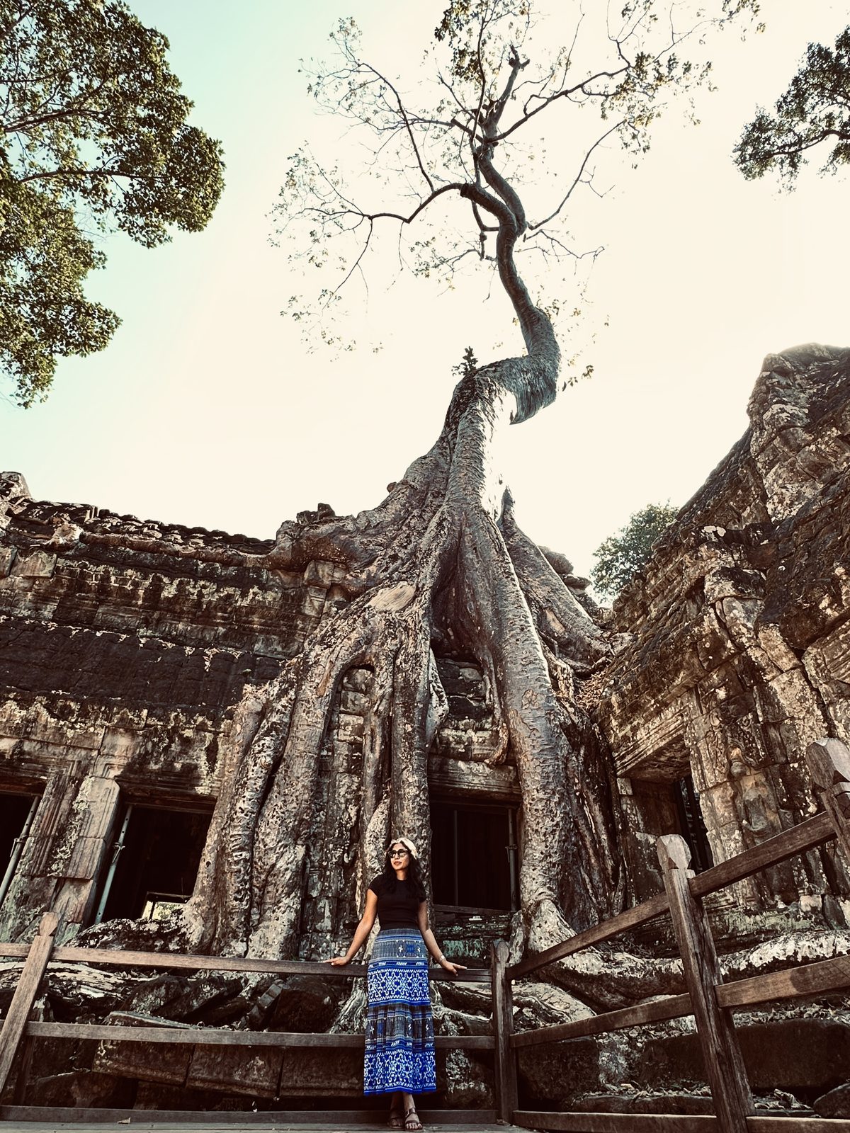 A woman standing beneath the enormous pale roots of a strangler fig pouring down over a temple wall at Ta Prohm