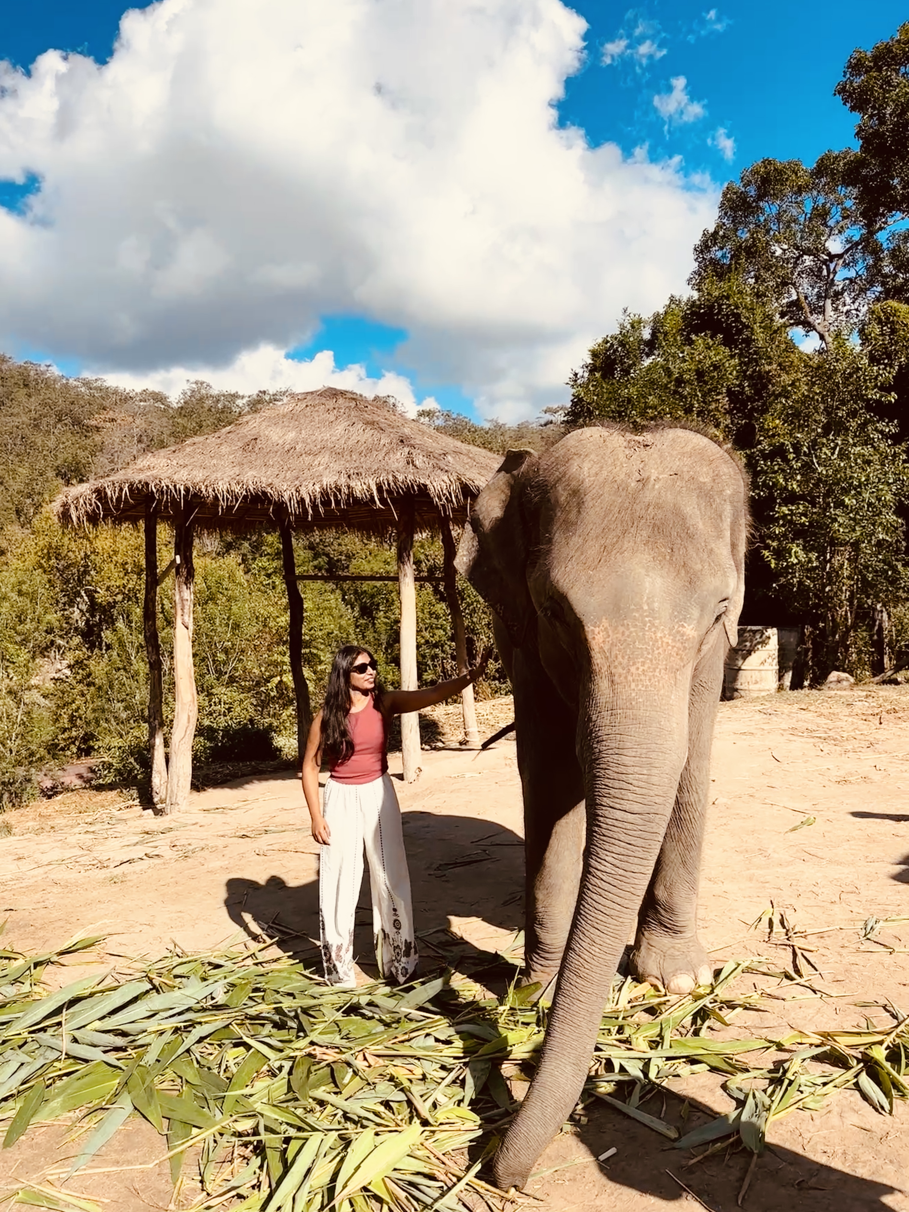 A woman standing beside an adult elephant in front of a thatched shelter at a sanctuary near Chiang Mai
