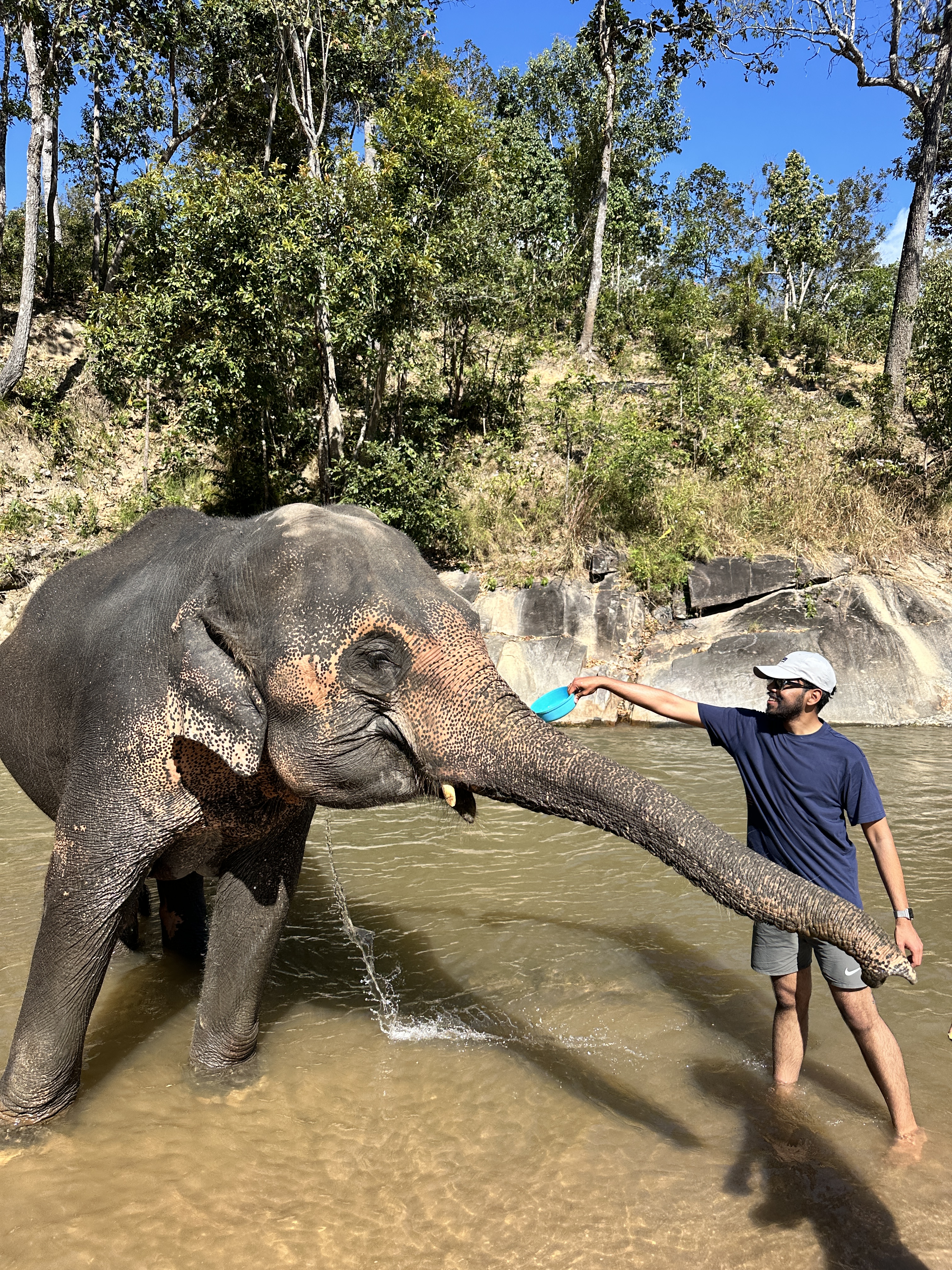 An elephant standing in a river taking food from a man's outstretched hand