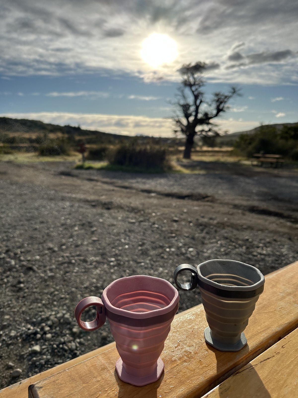 Two collapsible silicone camping cups of coffee on a wooden rail, with low sun over the steppe and a bare tree behind