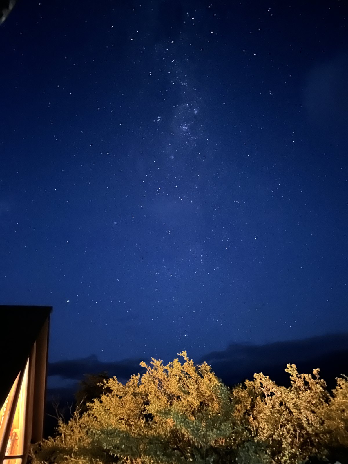 A deep blue night sky full of stars above lit scrub and the edge of a wooden building at a campsite