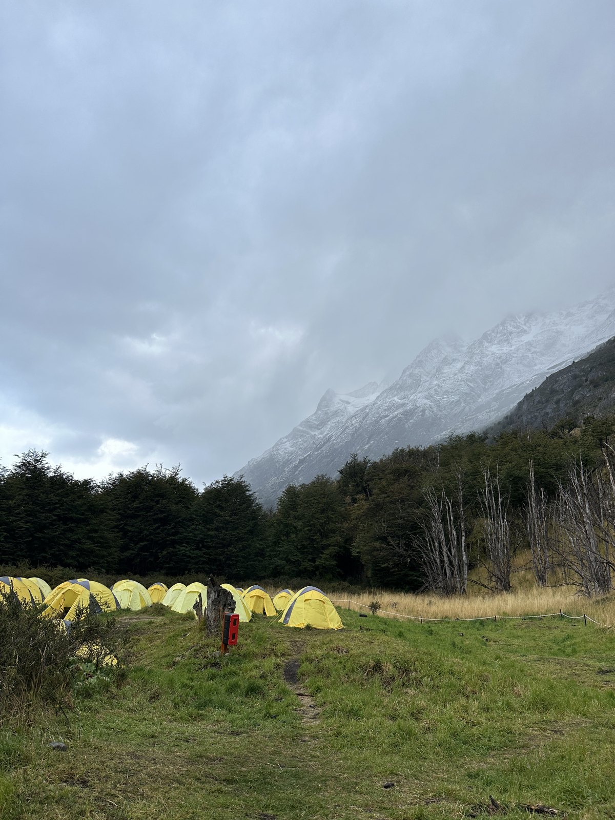 A long row of small yellow tents pitched in a grass clearing below a snow-covered mountain face