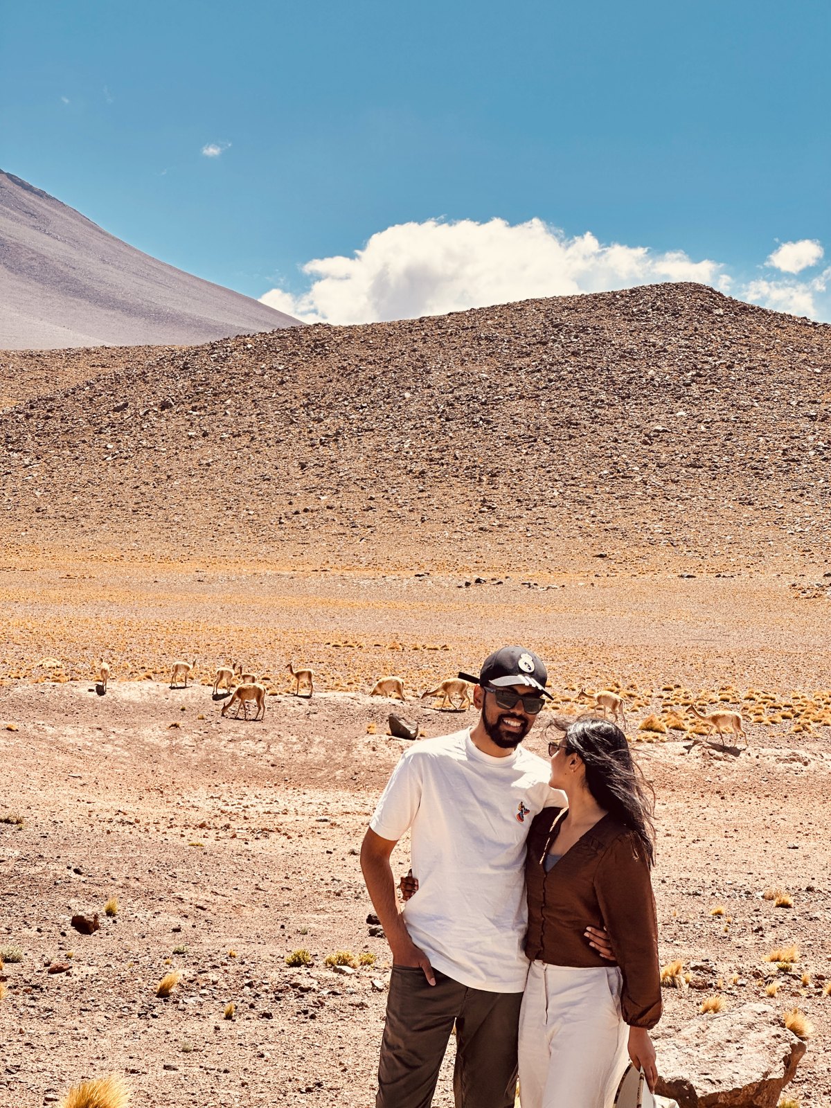 A couple standing in a high desert plain with a herd of vicunas grazing on the yellow grass behind them
