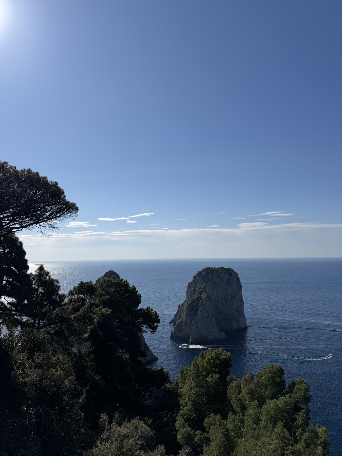 The Faraglioni sea stacks off the coast of Capri seen through pine branches, with boats on deep blue water