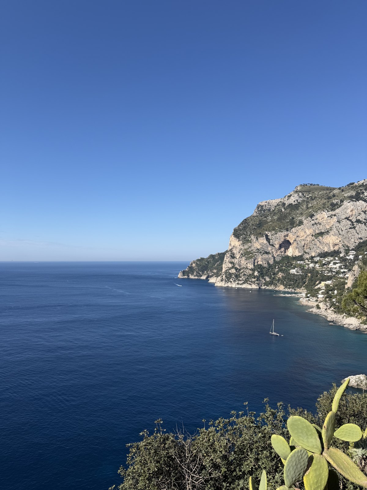 The rocky green coastline of Capri dropping into a deep blue sea under a cloudless sky, with a yacht below