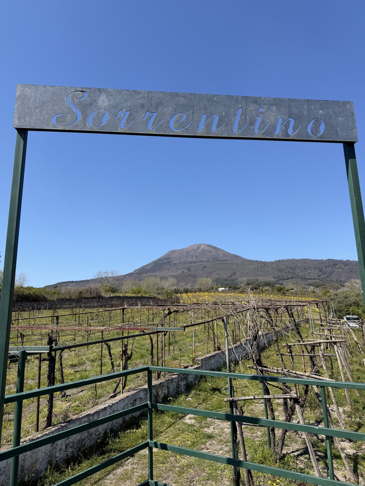 A metal sign reading Sorrentino over a vineyard gate, with the cone of Mount Vesuvius rising directly behind