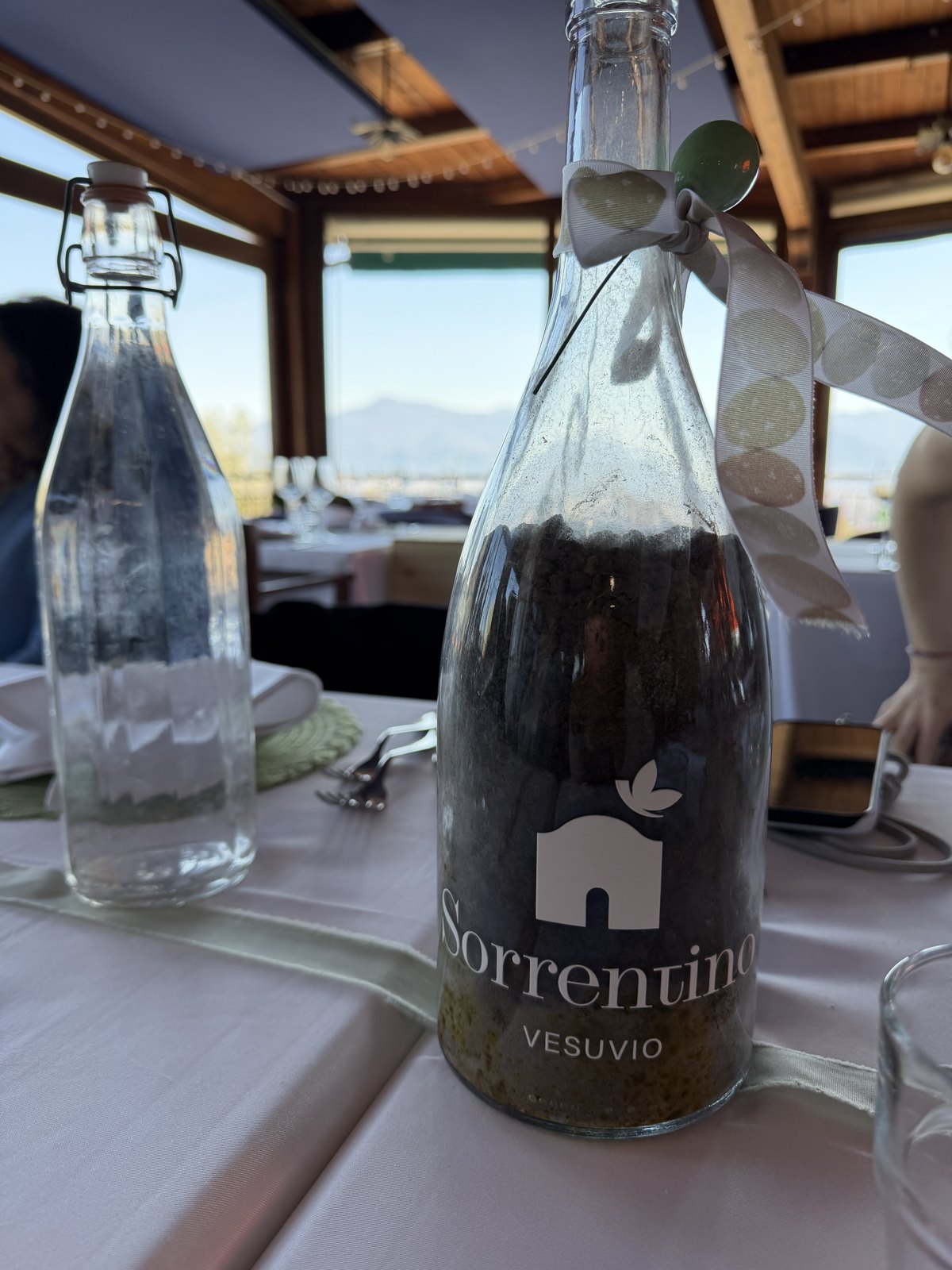 A bottle of Sorrentino Vesuvio wine on a laid table with a glass water bottle beside it and mountains through the window