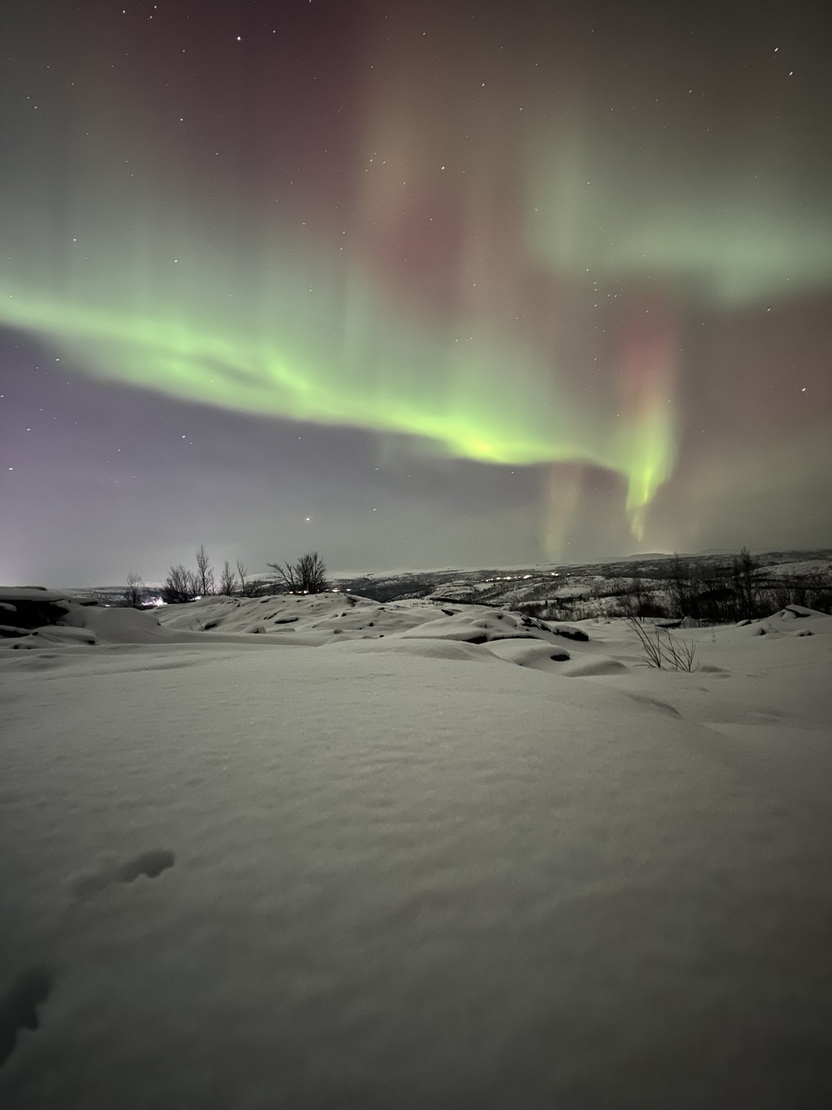 A green and pink aurora spreading across the sky above a snowfield with a few small trees