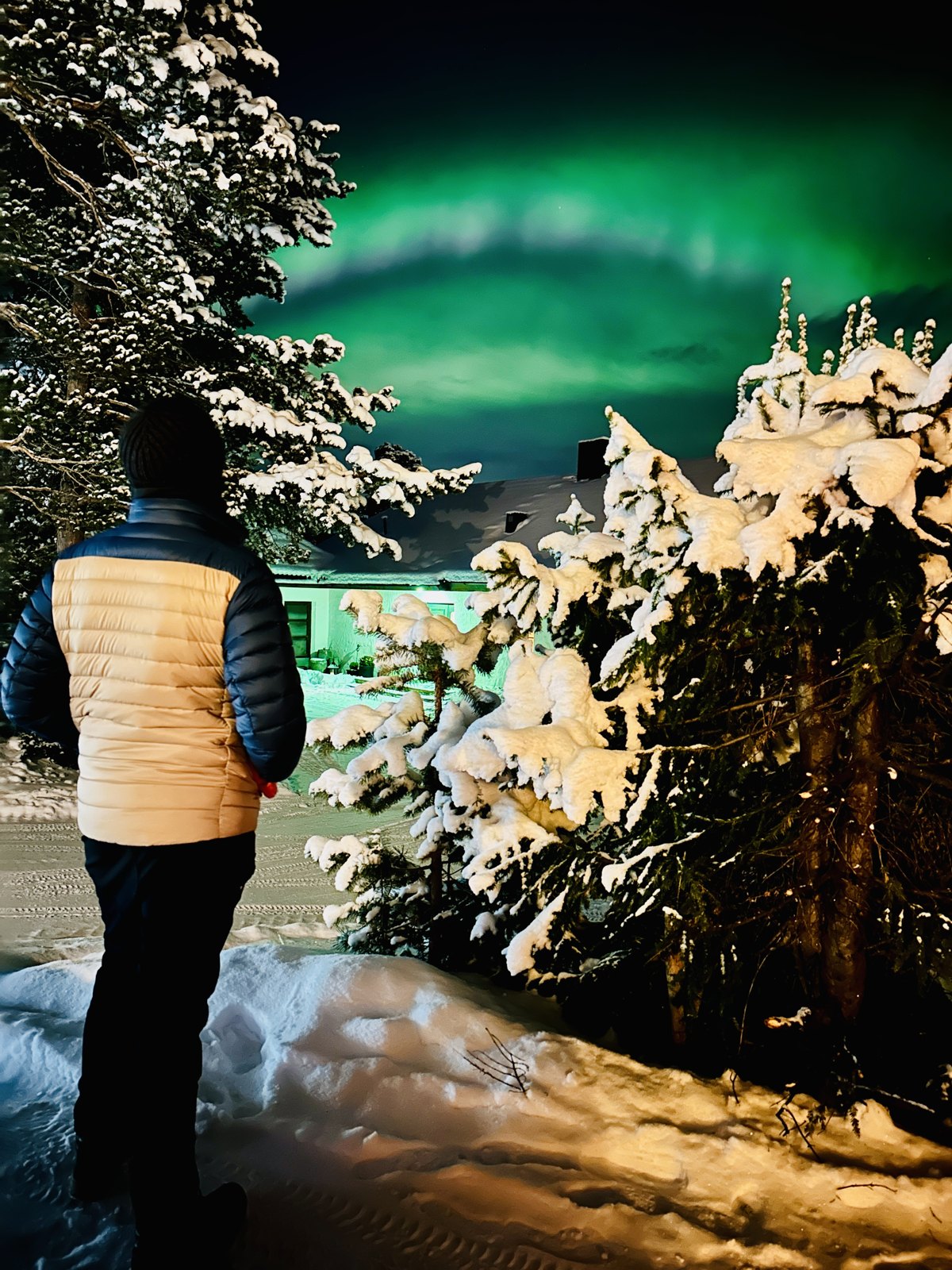 A person in a yellow jacket looking at a green aurora arc above a house, framed by heavily snow-laden pine trees
