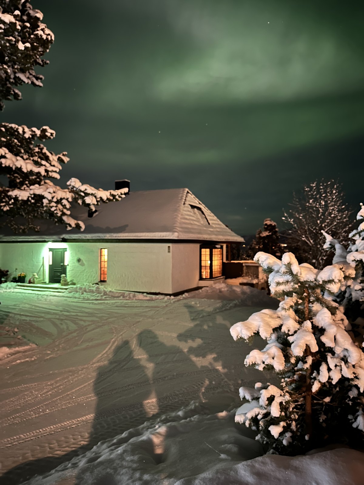 A green aurora band above a snowy street with lit buildings below