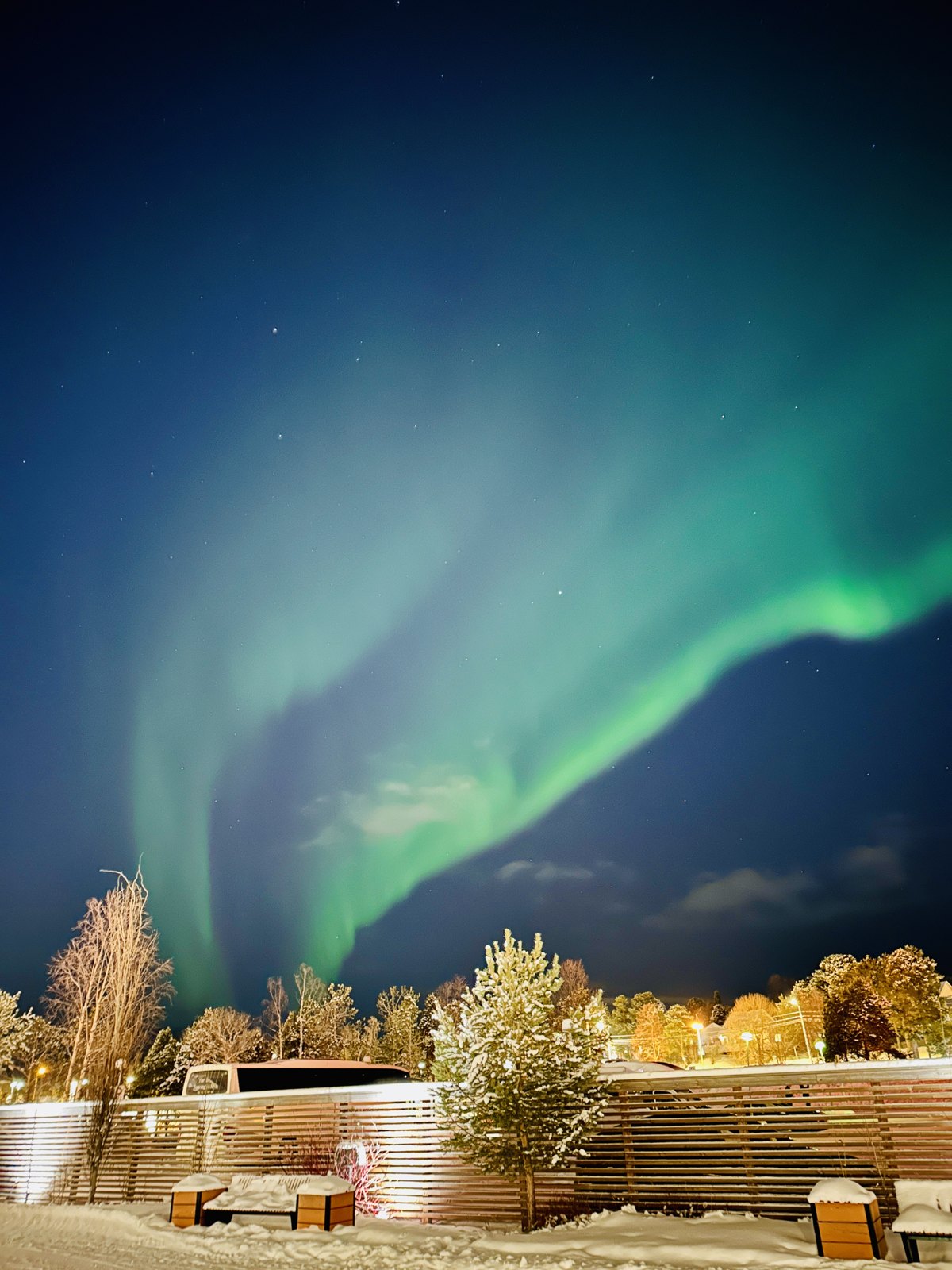 A bright green aurora sweeping across the sky above frost-covered trees and lit buildings in Alta
